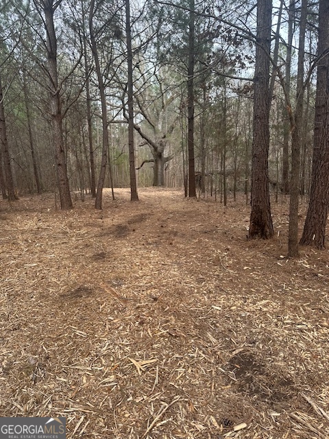 a view of a yard with trees