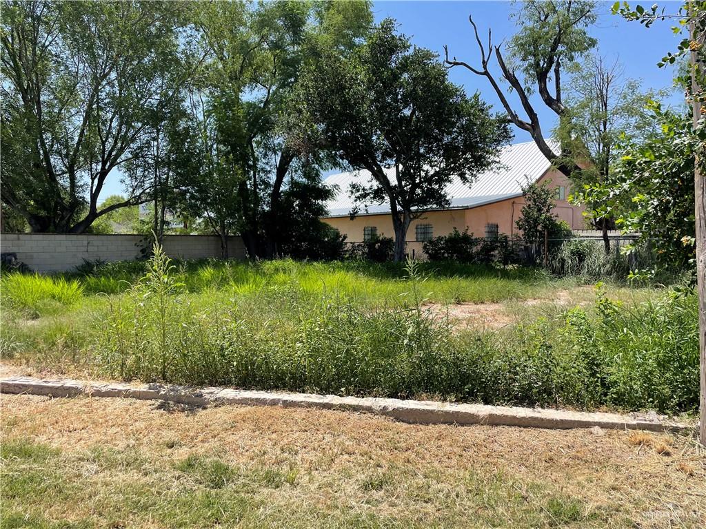 a view of backyard with green space