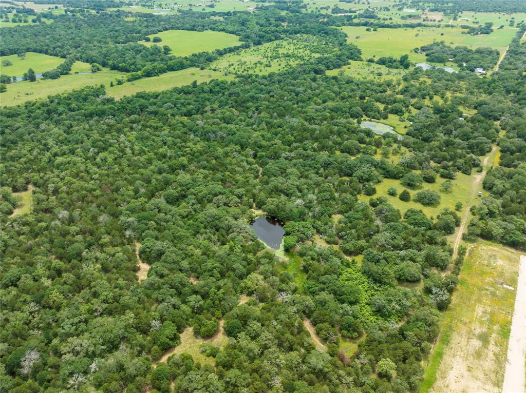 a view of a lush green forest with a houses