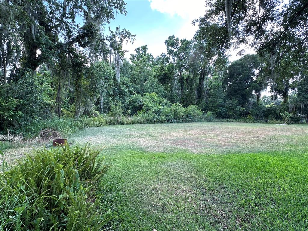 a view of backyard with green space