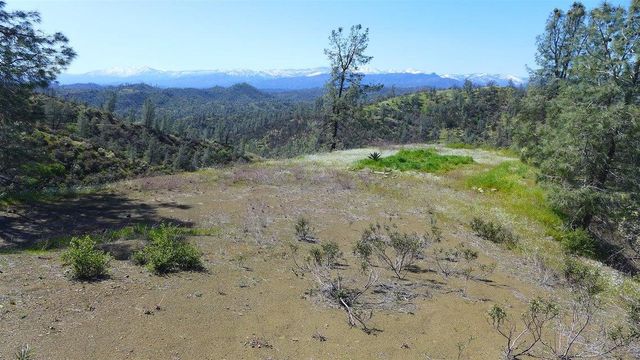 $65,000 | Lot 163 Cottonwood Creek Road