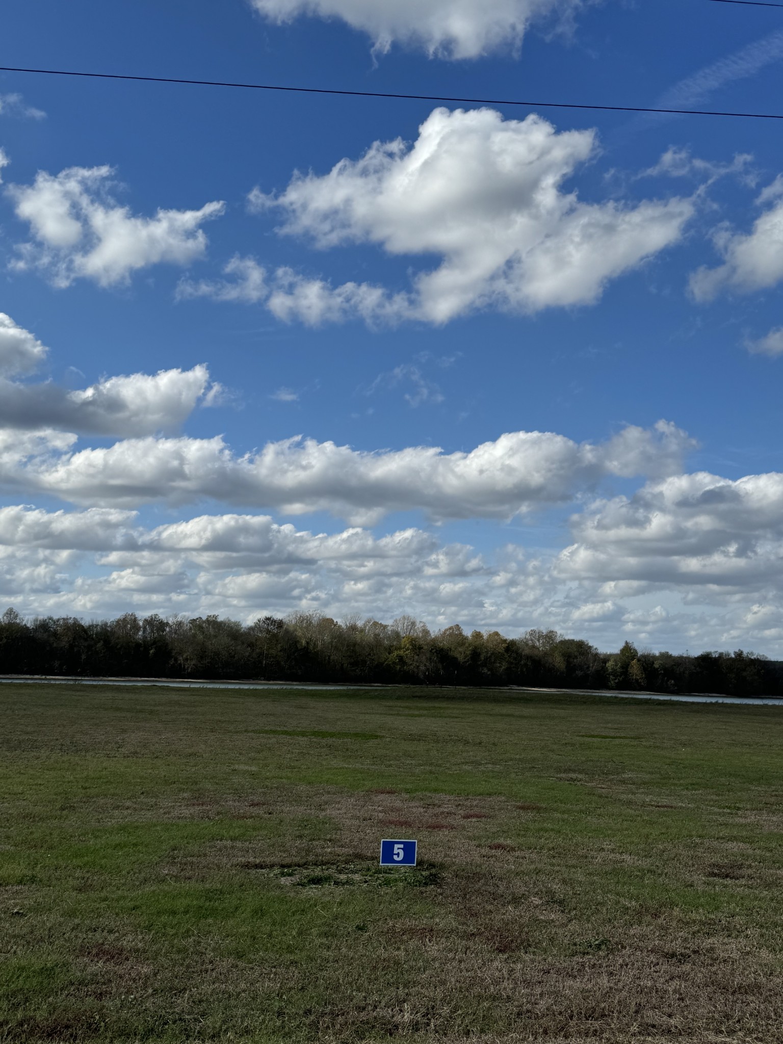 a view of a lake from a yard