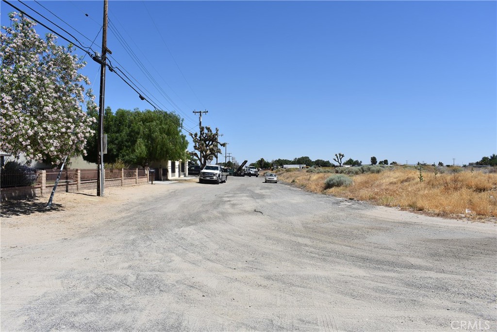 a view of road with large trees