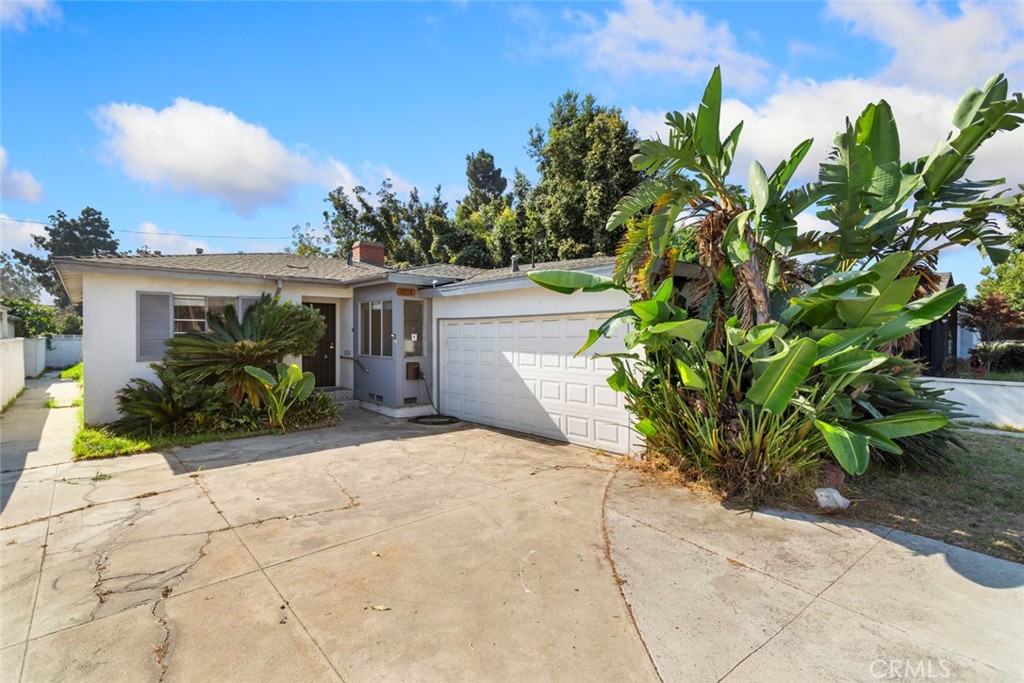 a view of a house with a yard and plant