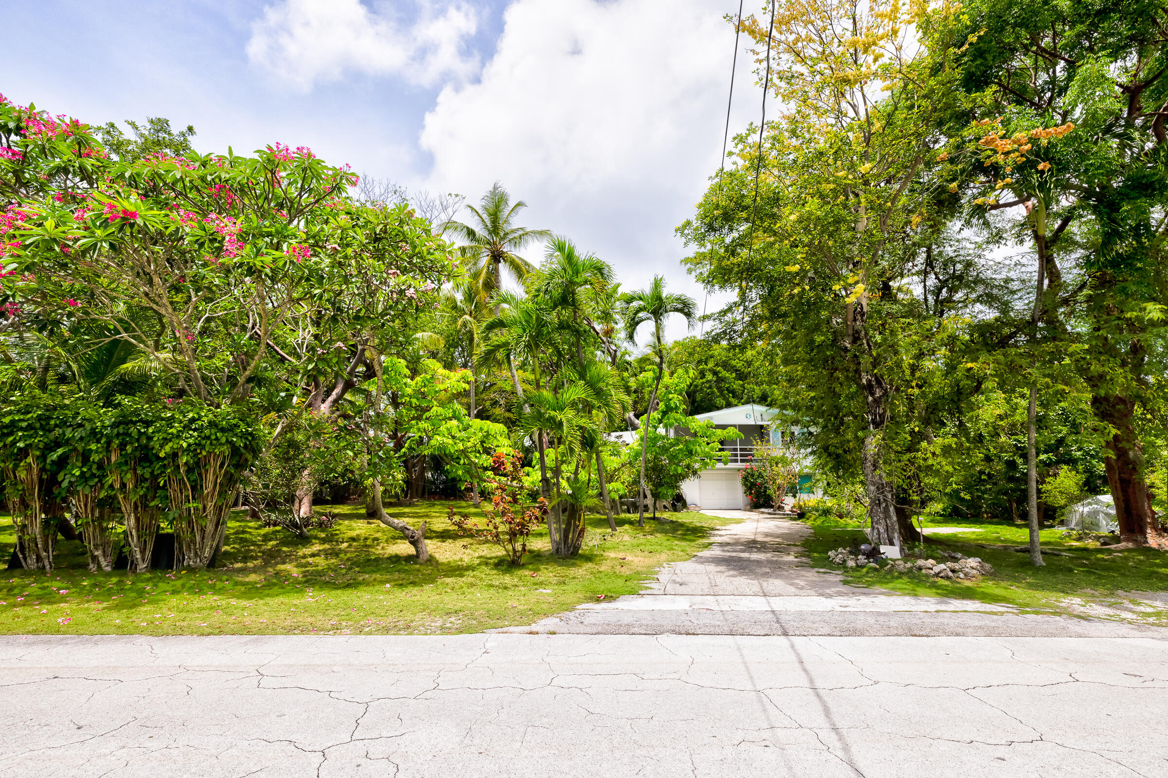 a front view of a house with a yard and trees