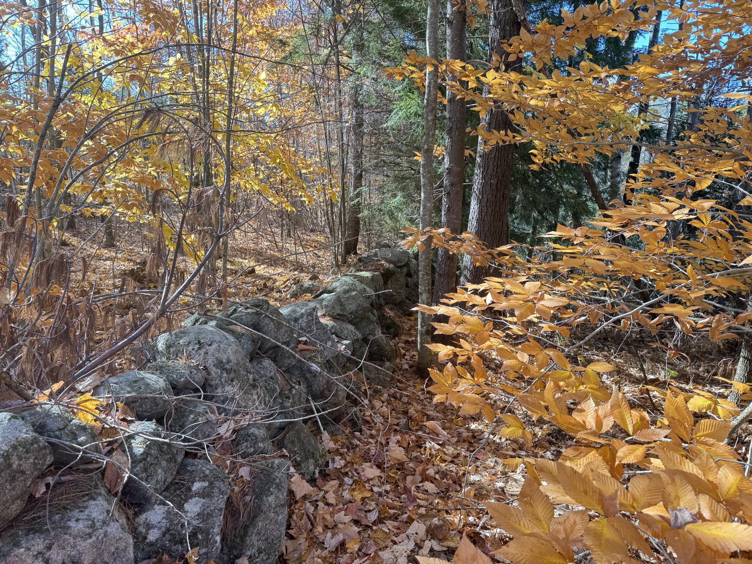 steele stone boundary