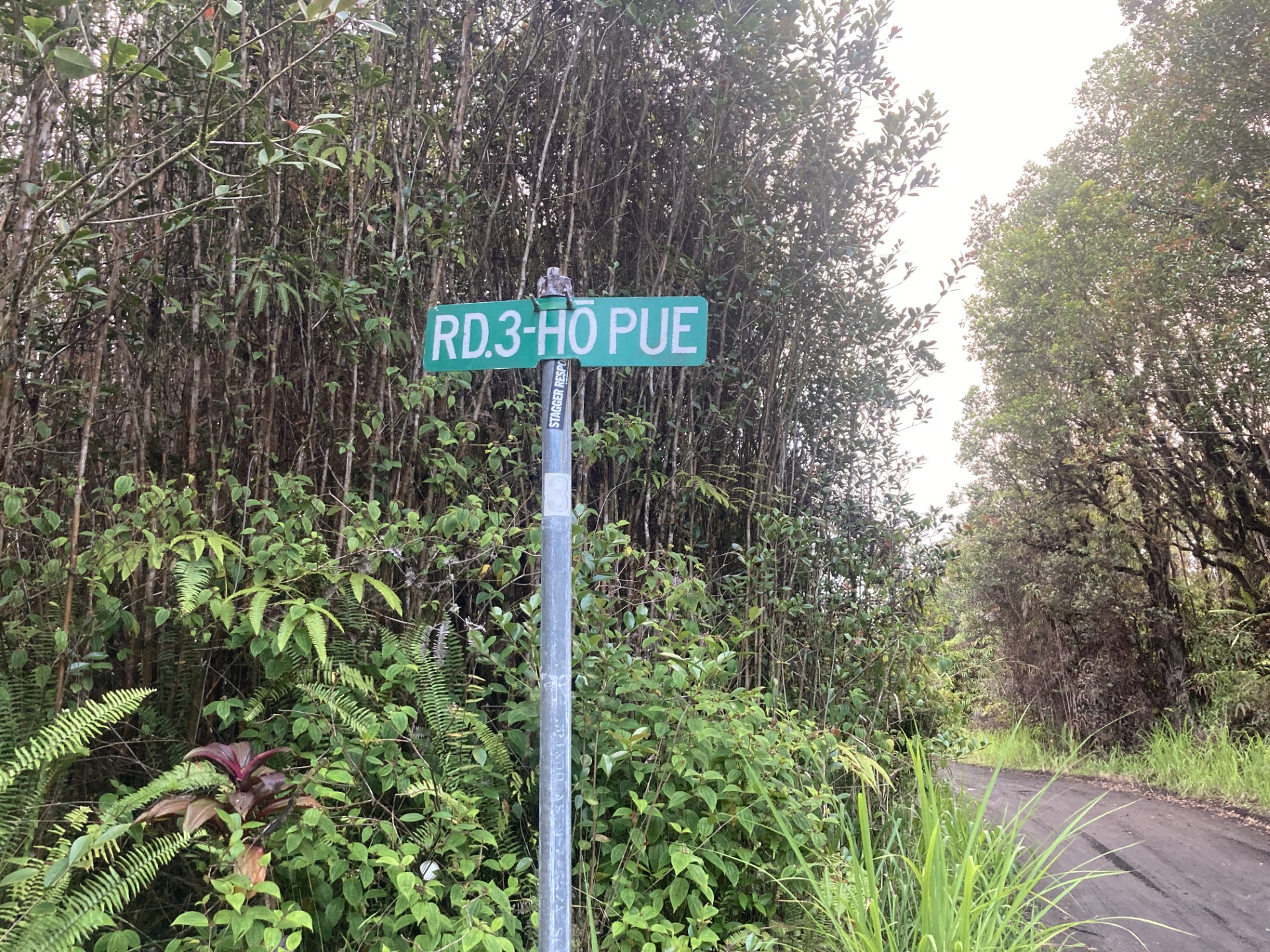 AGRICULTURAL LAND CONVENIENTLY LOCATED LOCATED NEAR THE INTERSECTION OF RD.3 - HOPUE RD. AND "E" ROAD IN HAWAIIAN ACRES.