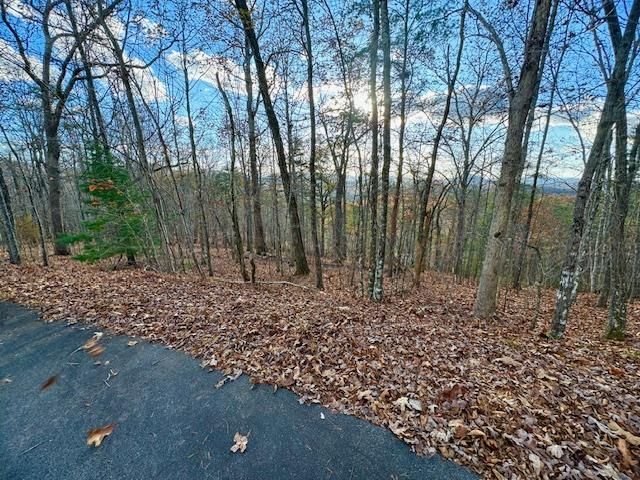 $39,000 | Lot 49 Mission Ridge | Sweetwater Township - Clay County