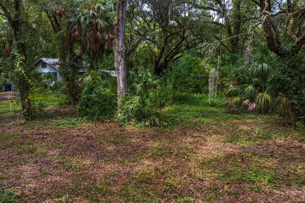 a big yard with lots of green space and deers