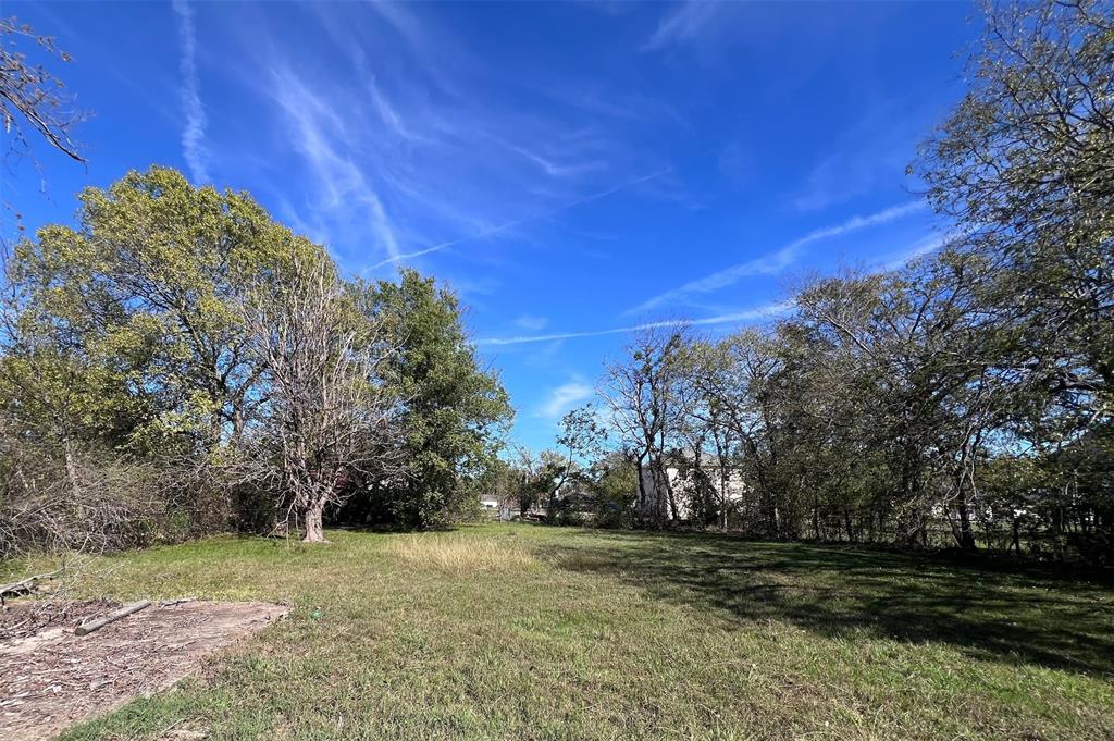 a view of a field with trees