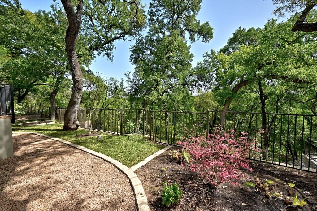 a view of a park with trees