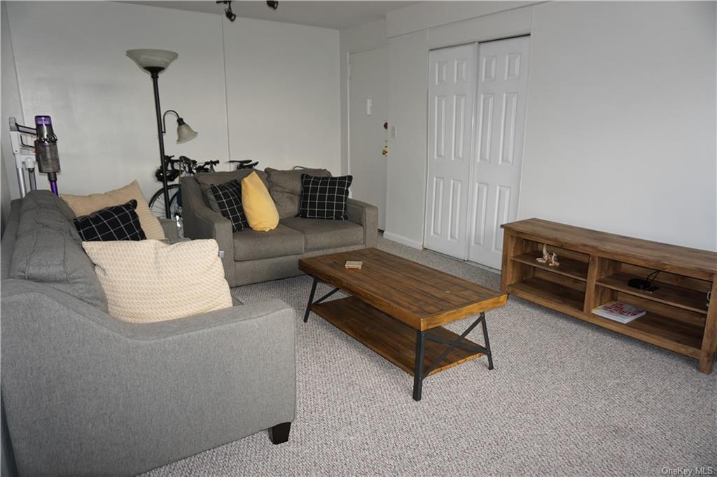 a living room with furniture and a couch