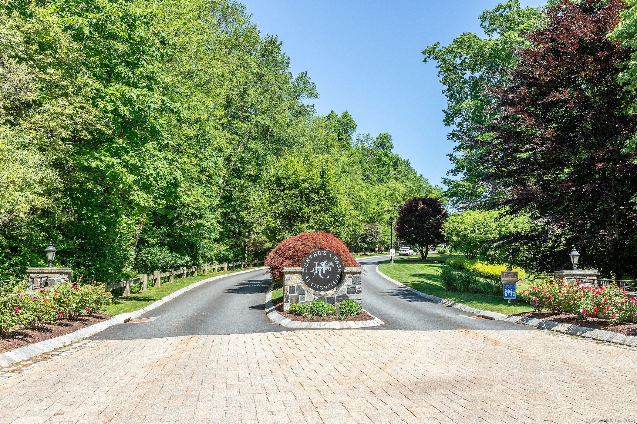 a view of a park with plants and large trees