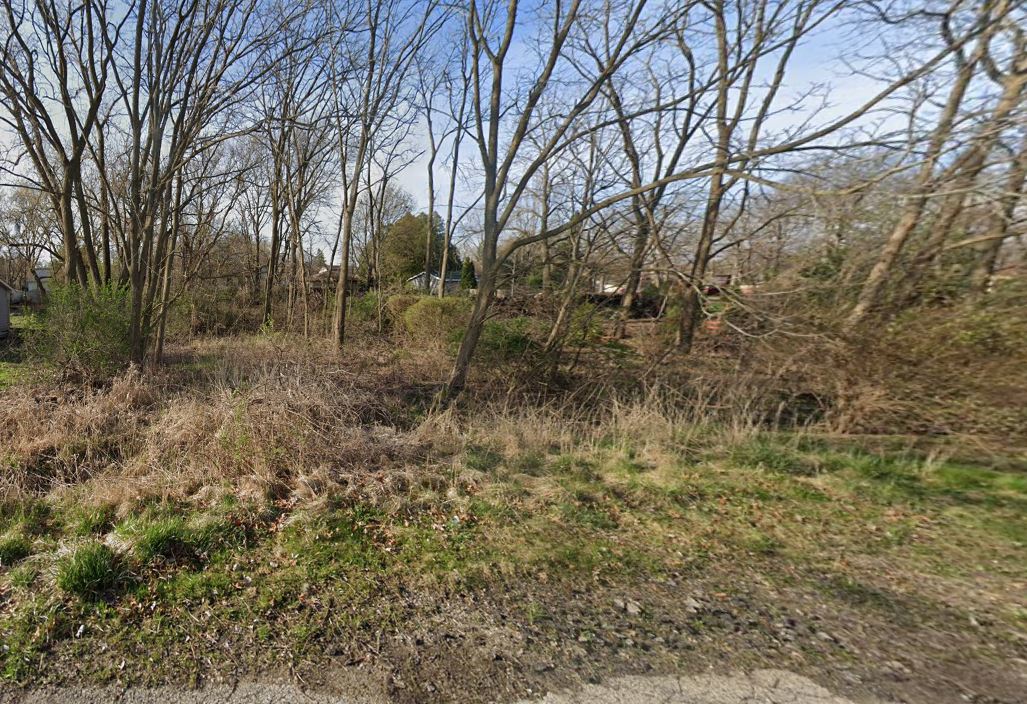 a view of a forest with trees in front of it