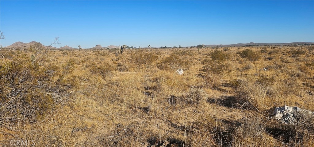 a view of a field