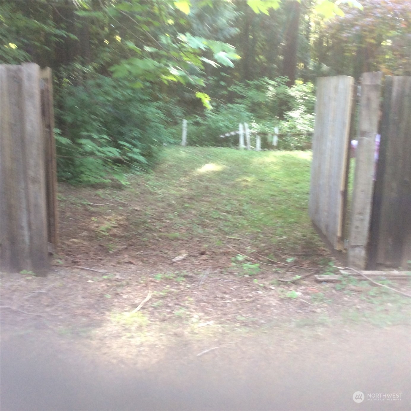 a view of a yard with a tree