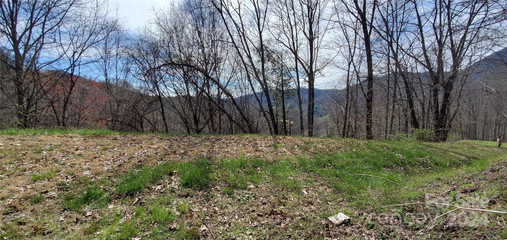 a view of backyard with green space