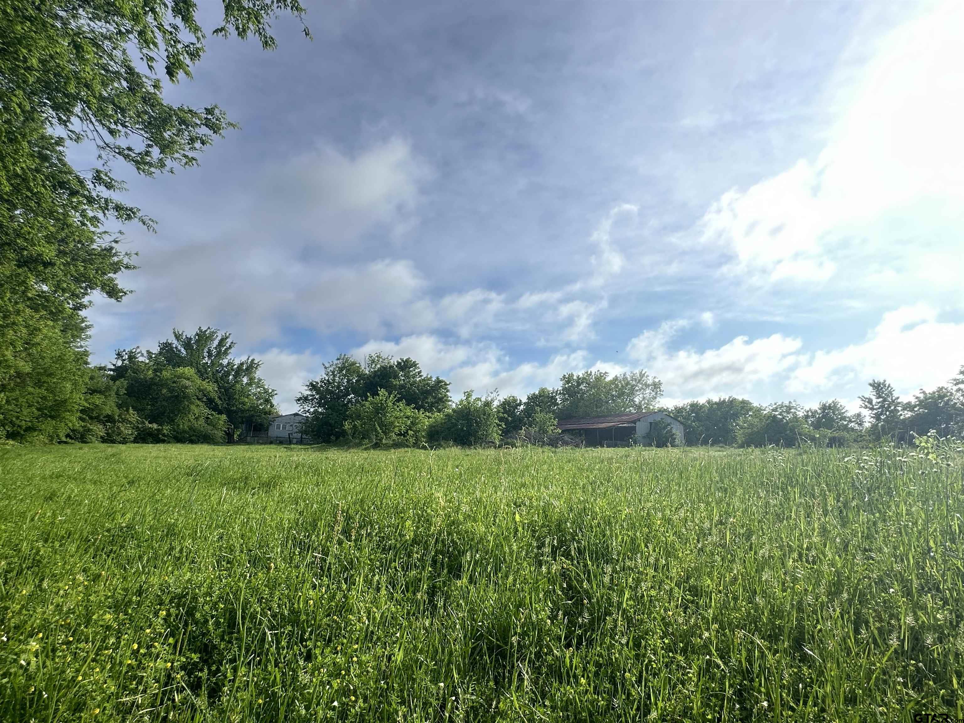 a view of a garden