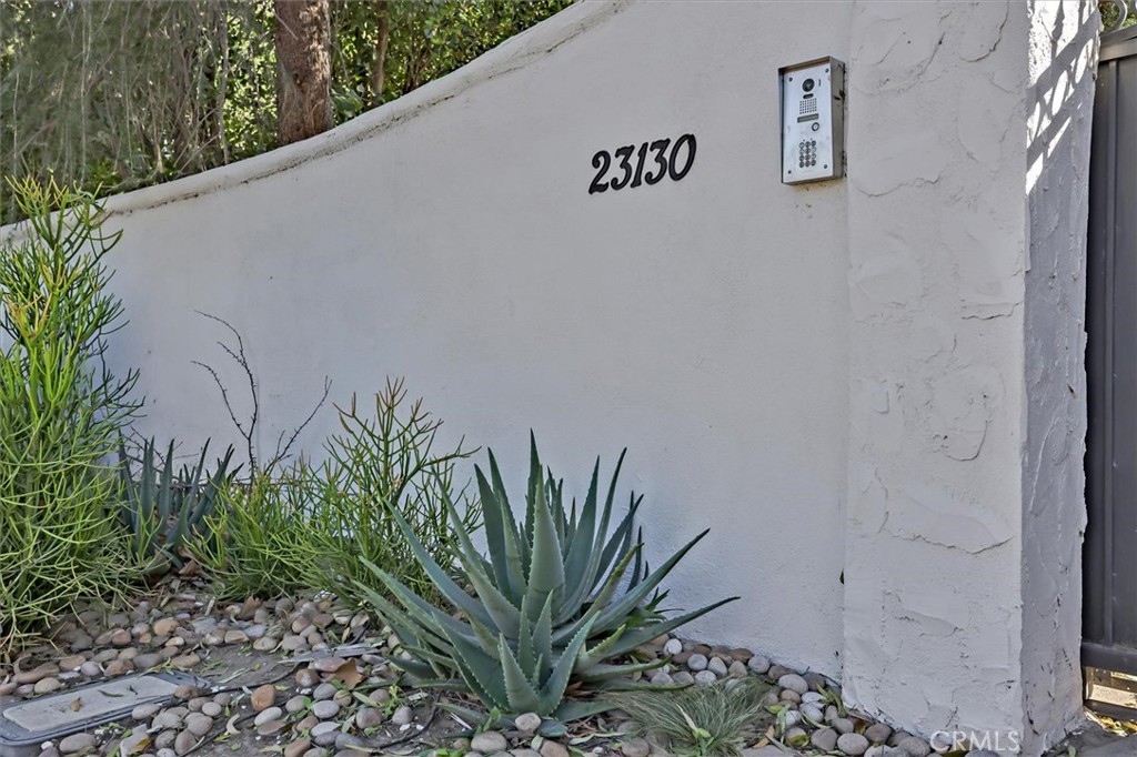 a close up of a plant on a wall