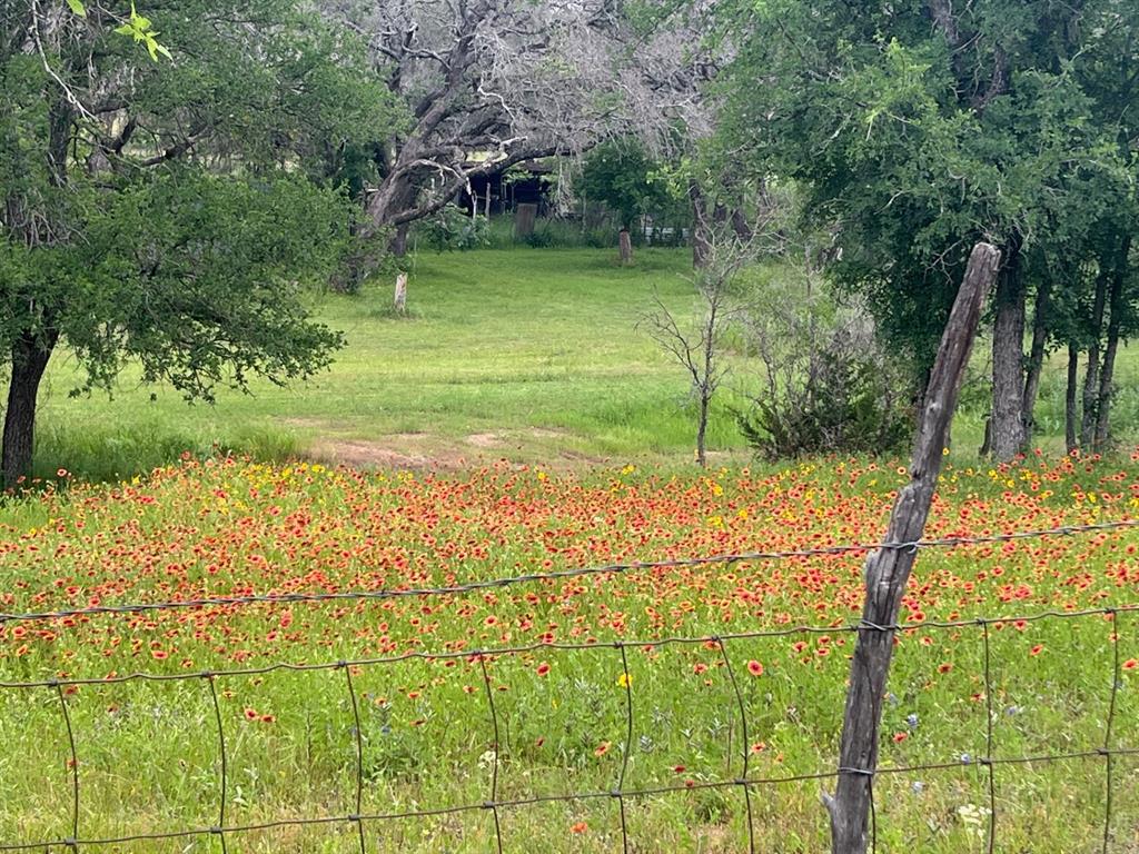 a view of a garden