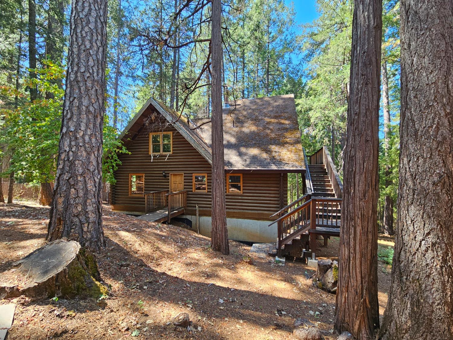 a view of a house with a tree in the forest