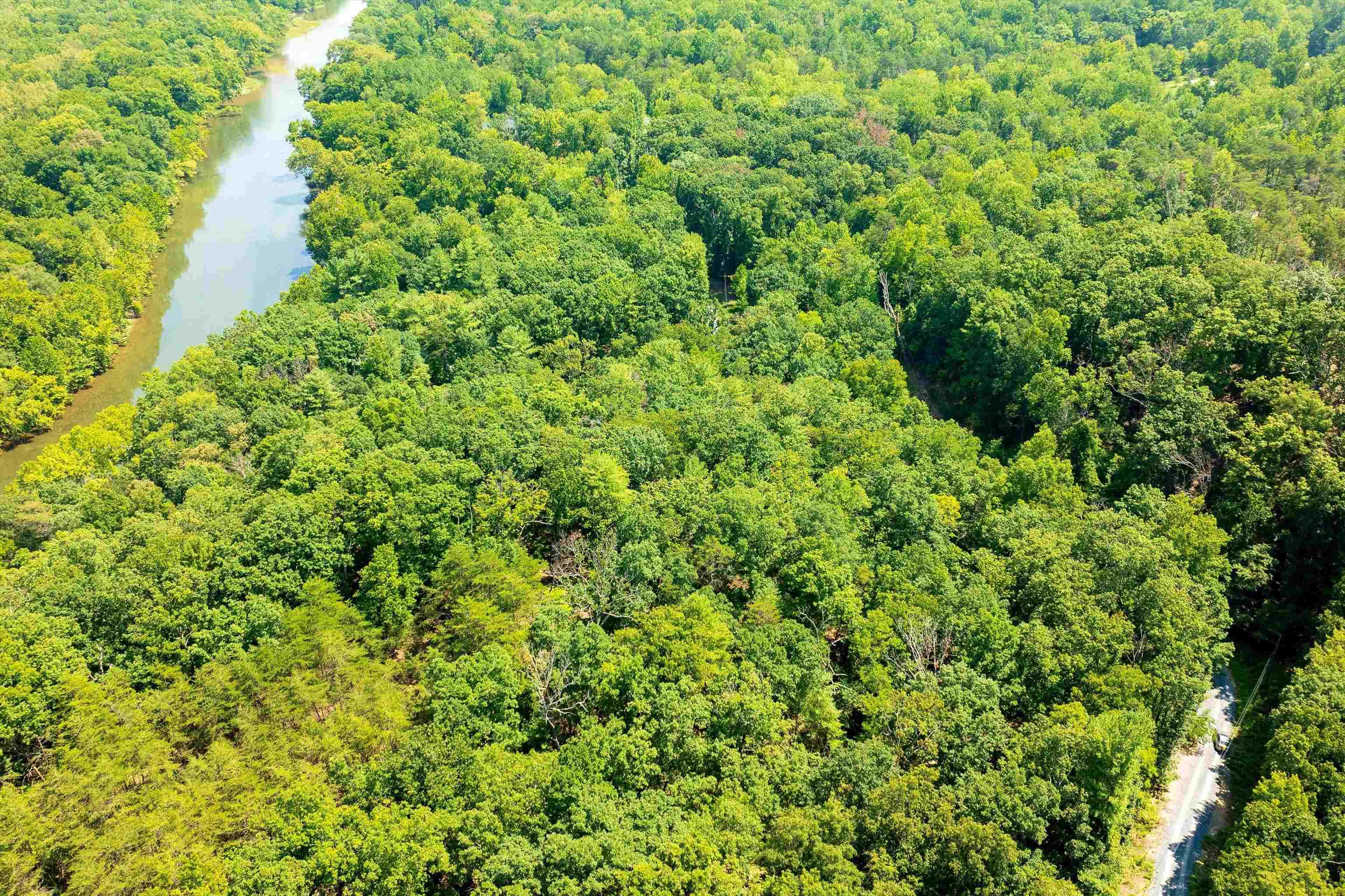 a view of a lush green forest with houses