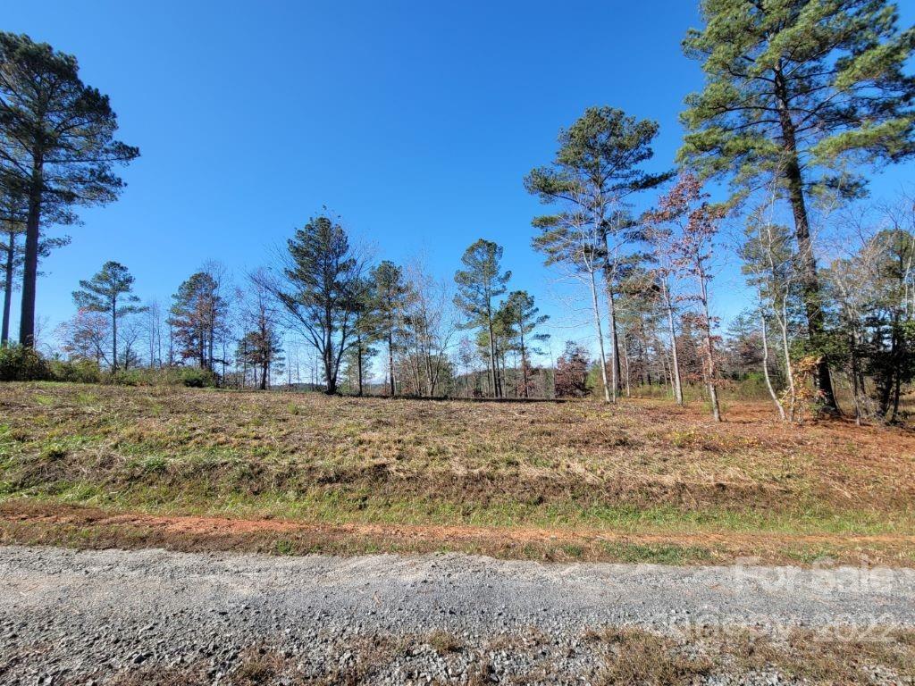 a view of dirt yard with a large tree