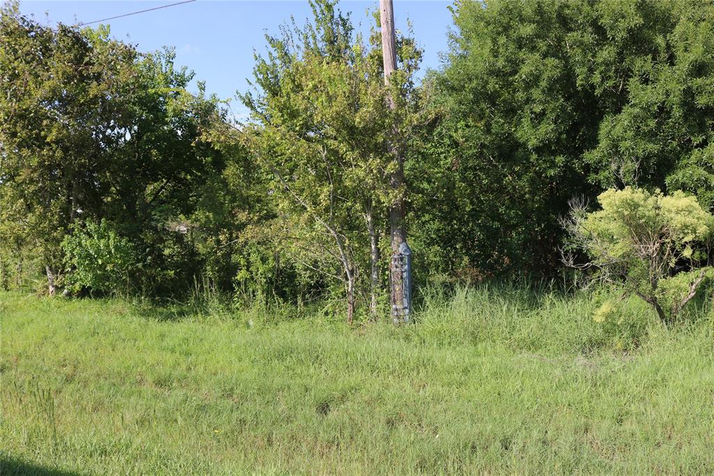 a view of a lush green space