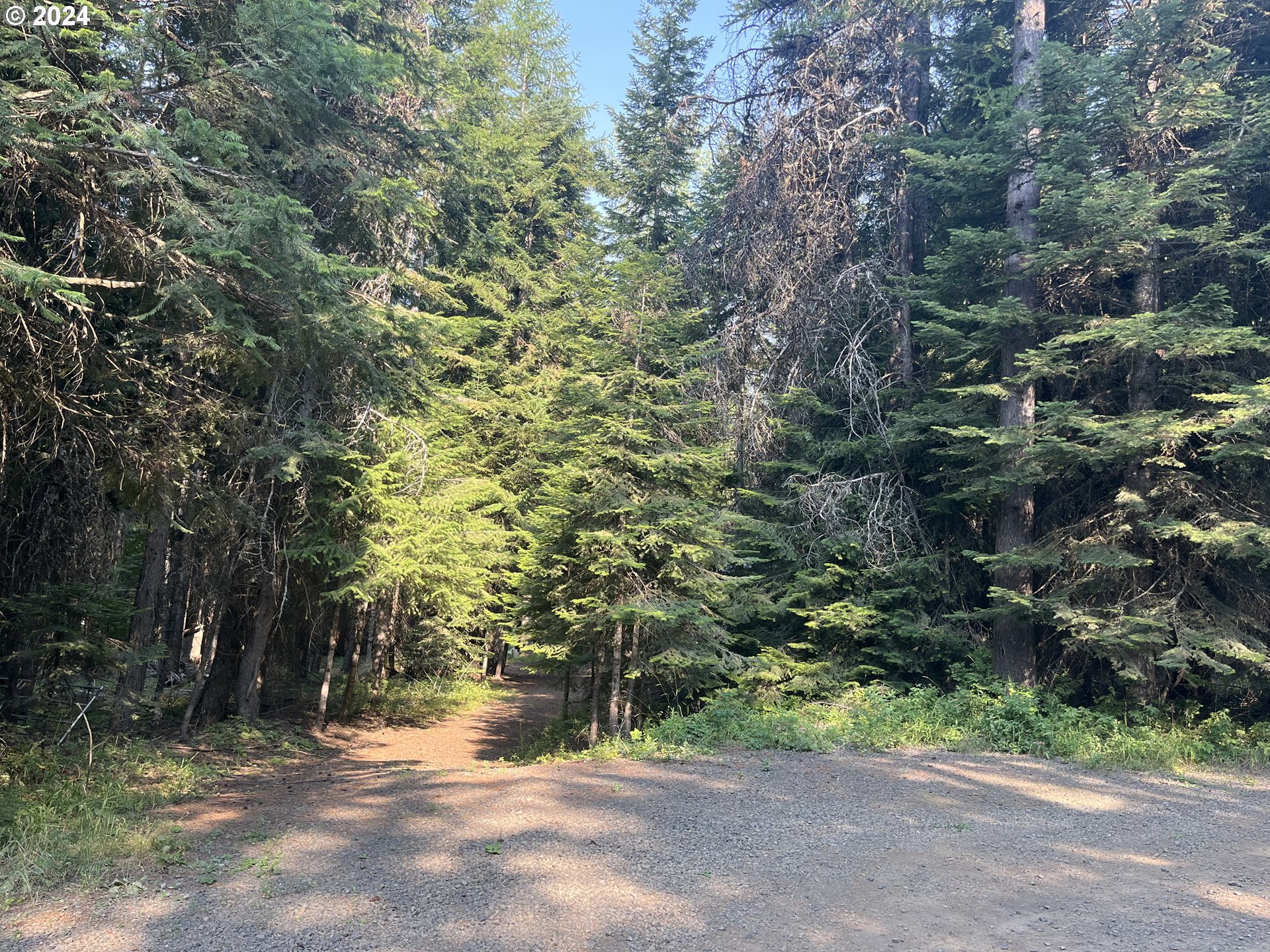 a view of outdoor space and trees