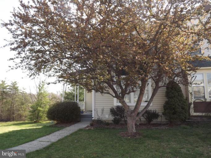 a view of a backyard with large trees