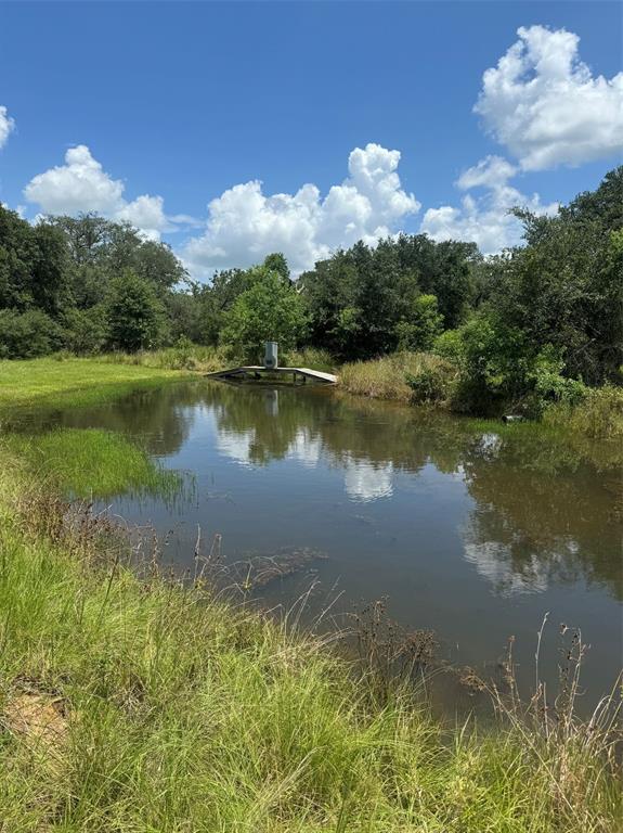 a view of a lake in between two of trees