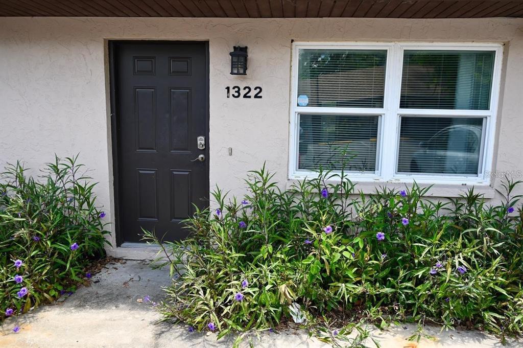 a flower plants in front of a house