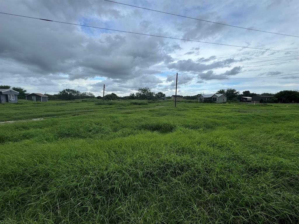 a view of a big yard with large trees