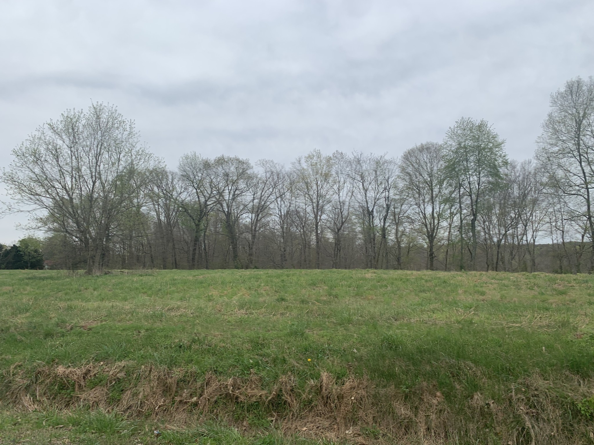 a view of a field with trees in the background