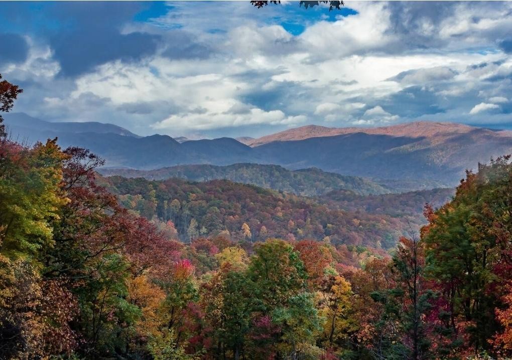 a view of a yard with mountains in the background