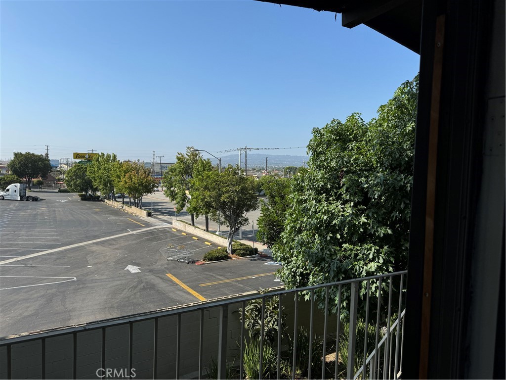 a view of a backyard with plants and a fence