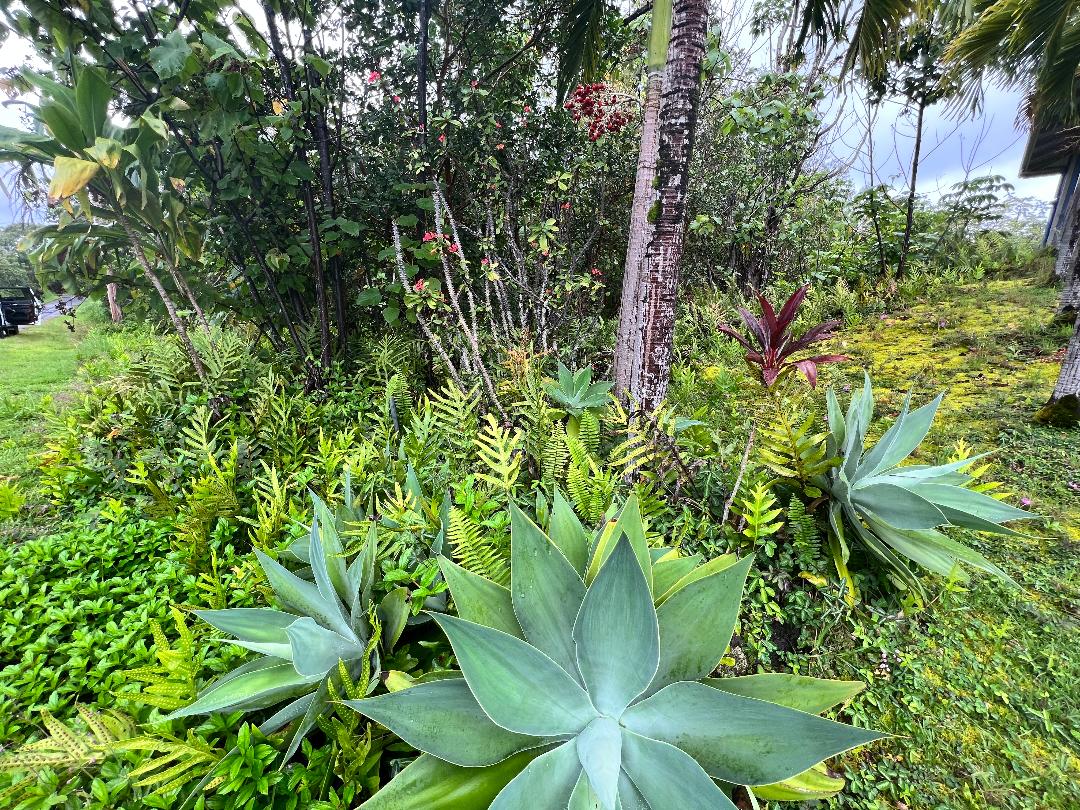 a backyard of a house with lots of green space