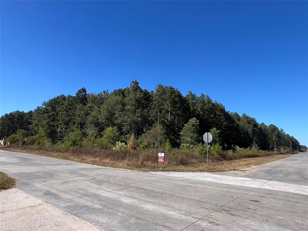 a view of a road with a trees in the background