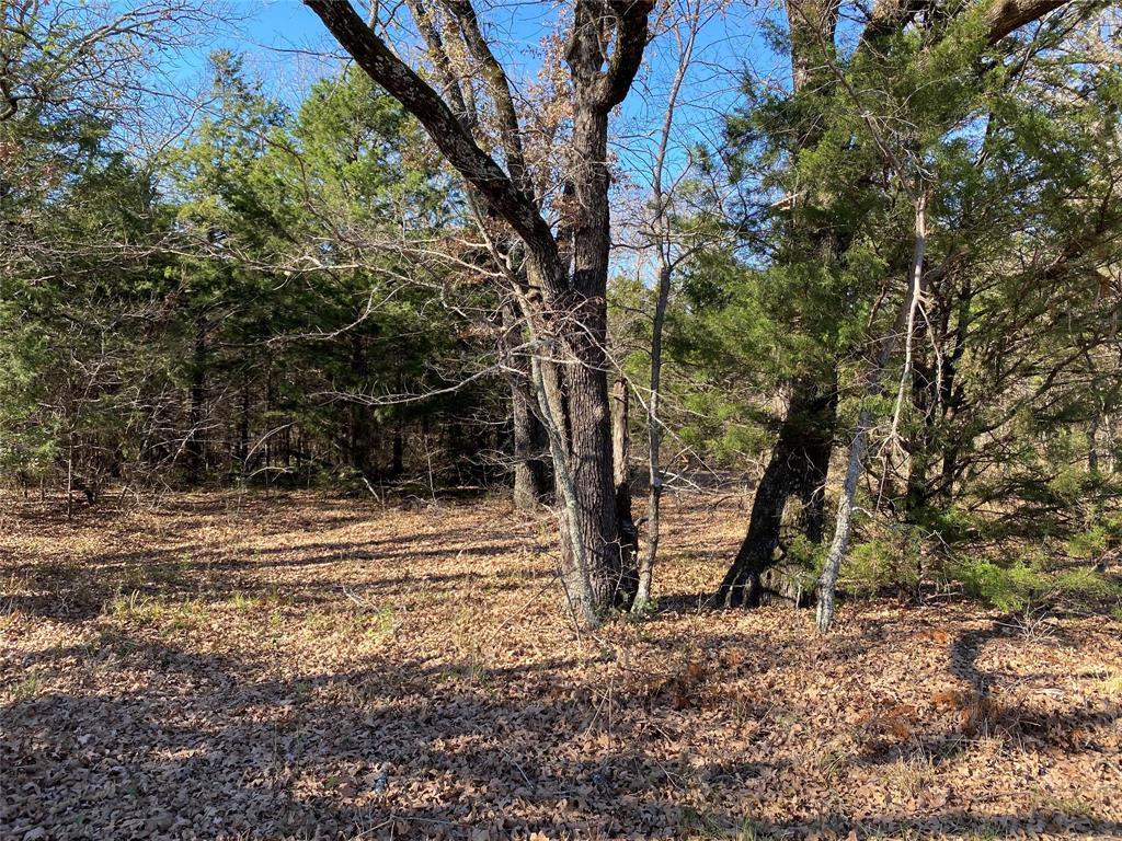 a view of a backyard of the house