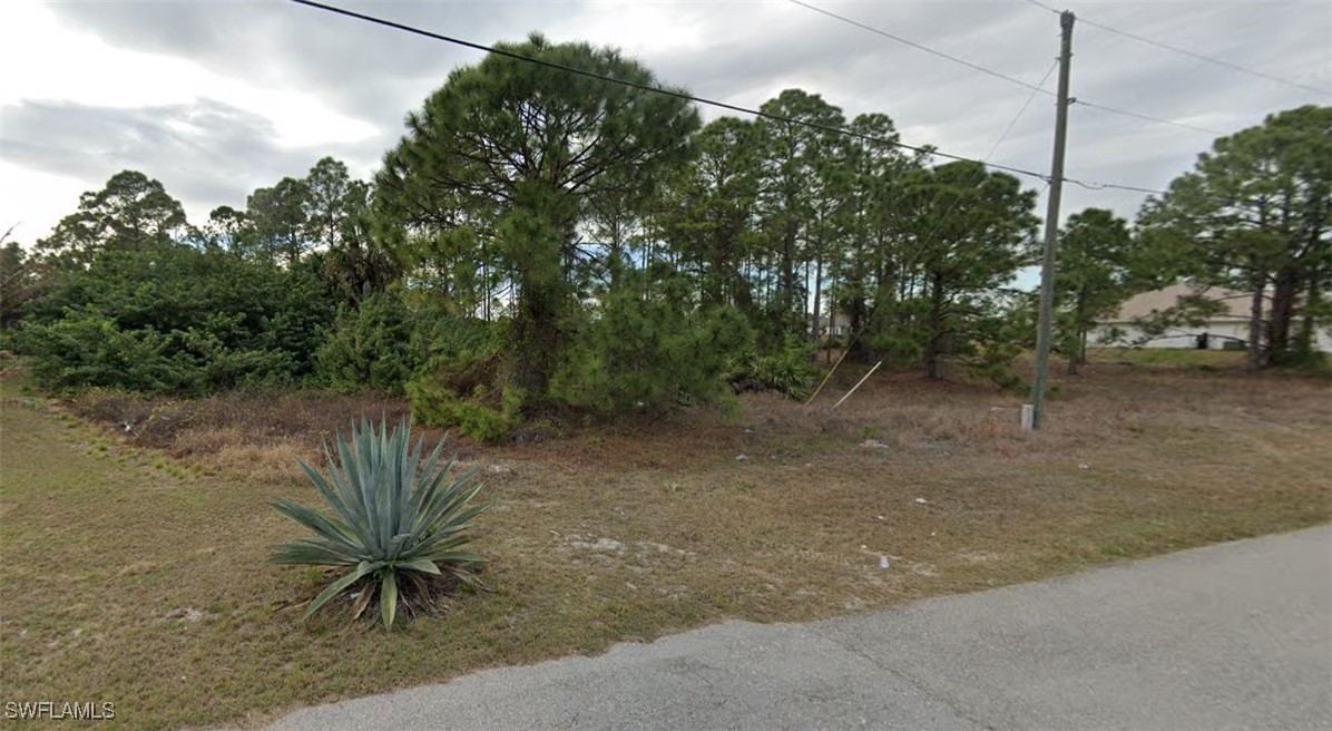 a view of a yard with plants and a bench