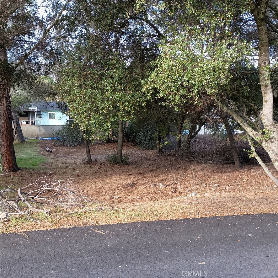 a backyard of a house with lots of trees