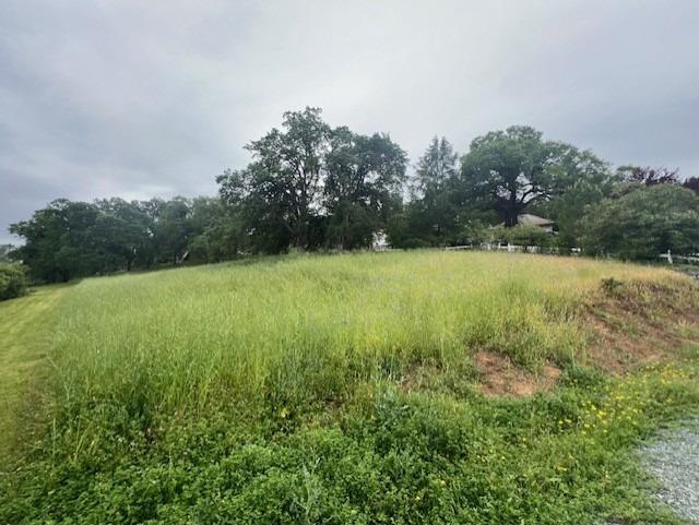 a view of field with trees in the background