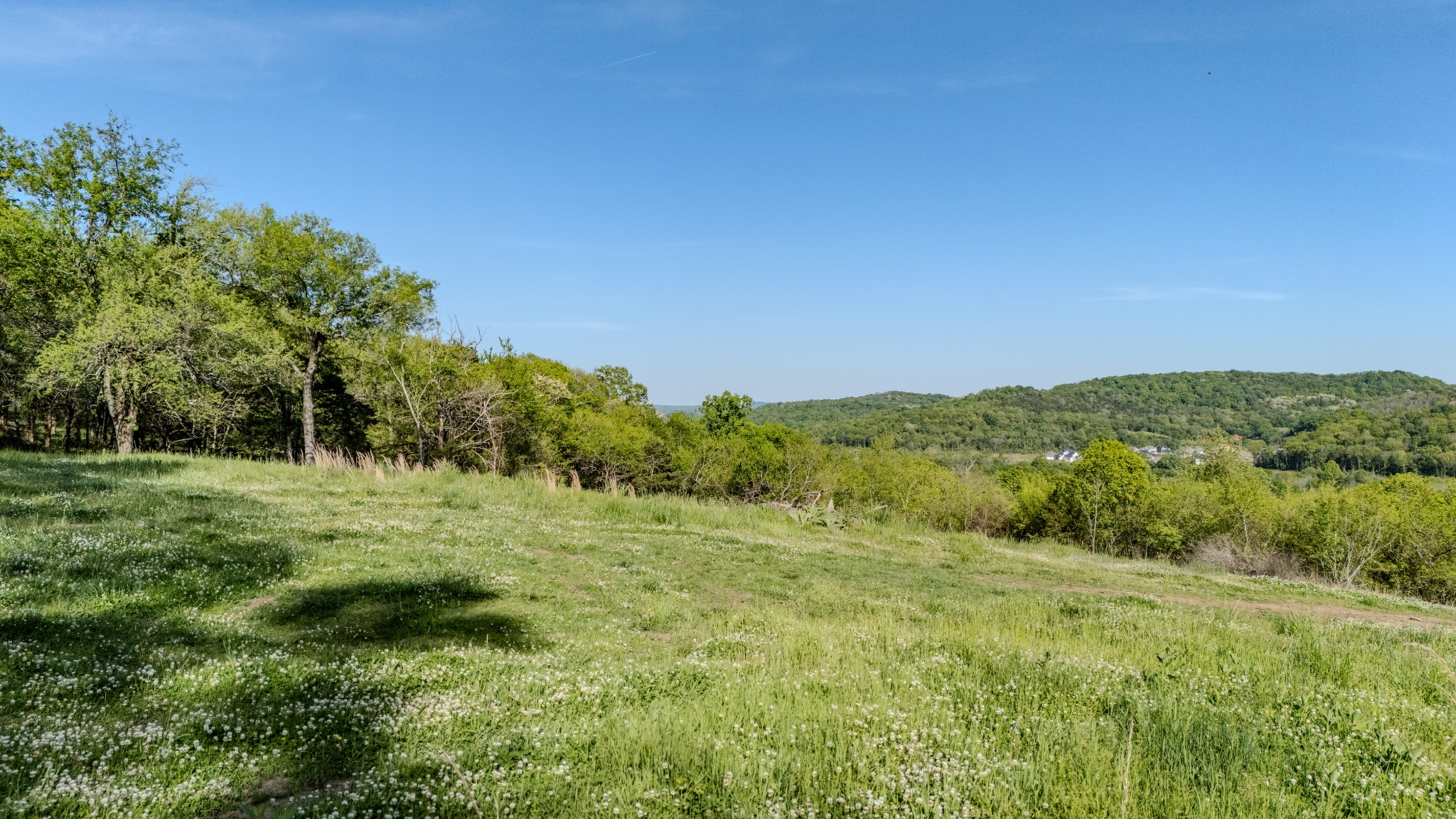 a view of a lush green space with sea