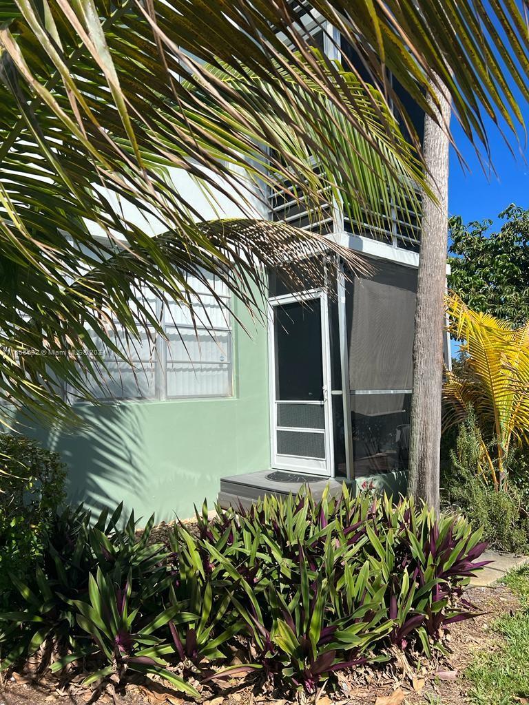 a yellow plant in front of a house