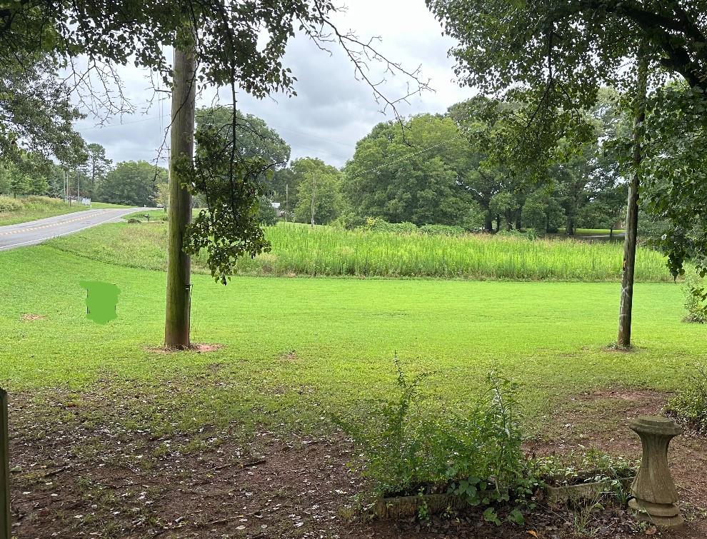 a view of a field with a tree