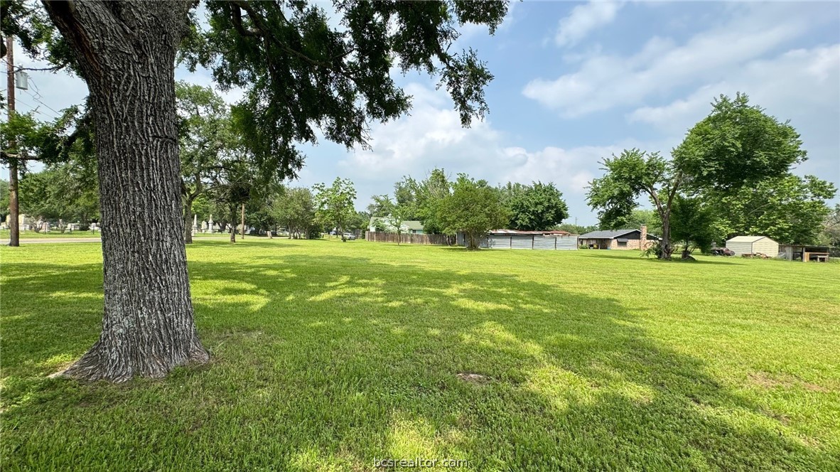 a view of a trees with yard of house