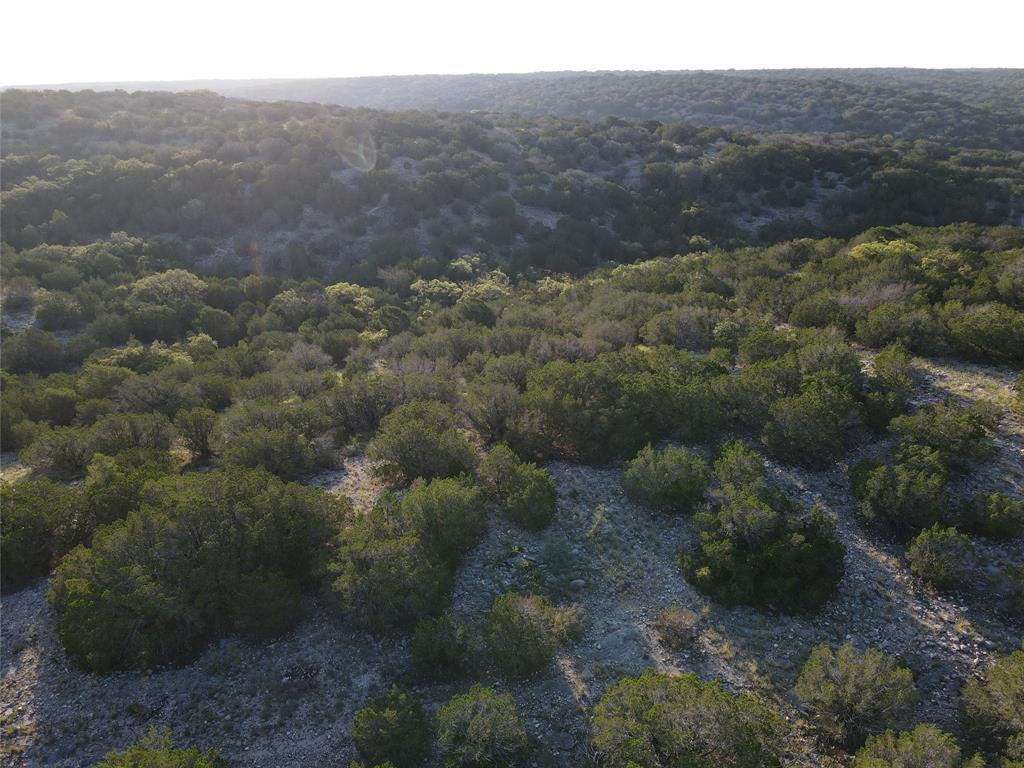 a view of a forest with a yard