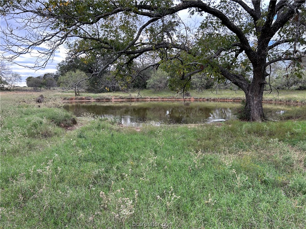 a view of lake with a tree