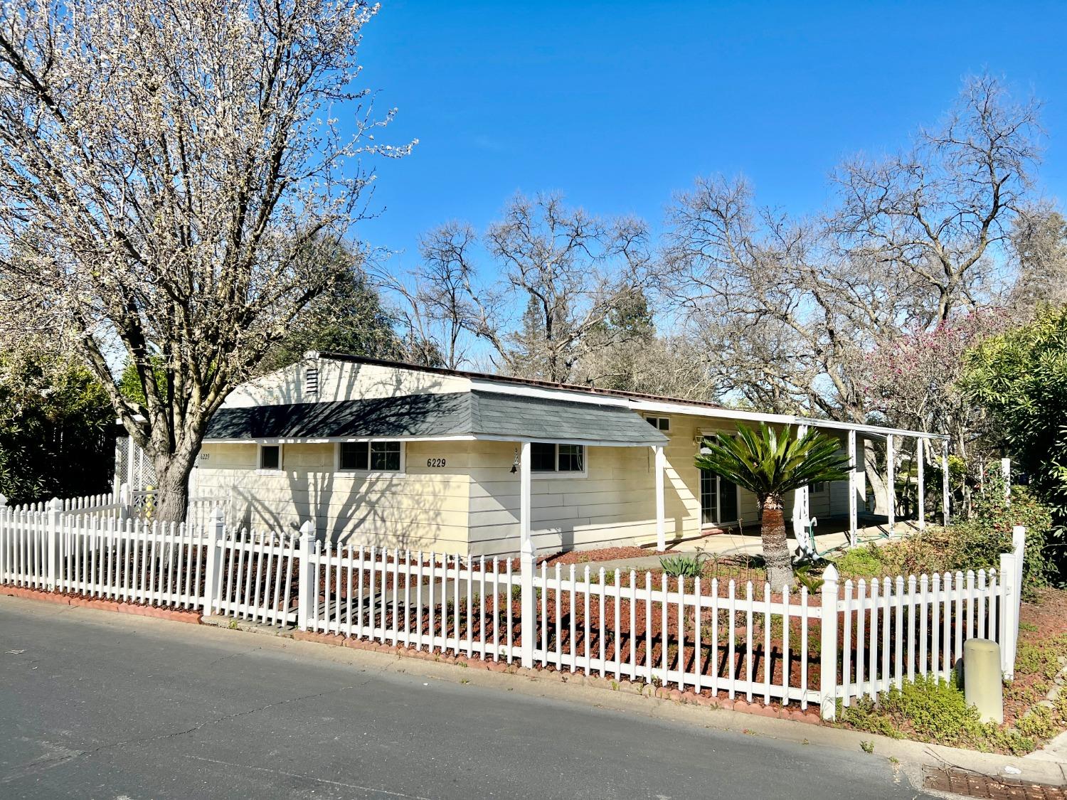 a view of a house with a small yard and large trees