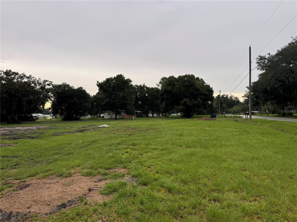 a view of grassy field with trees